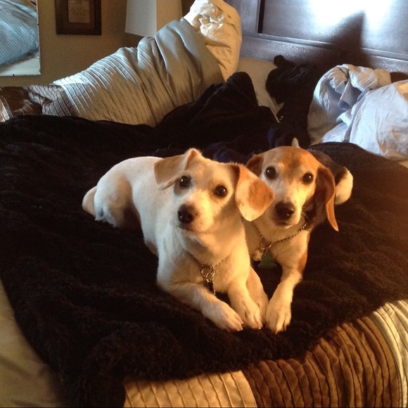 Meet your Posher, Lyssa - Picture 3 of 4